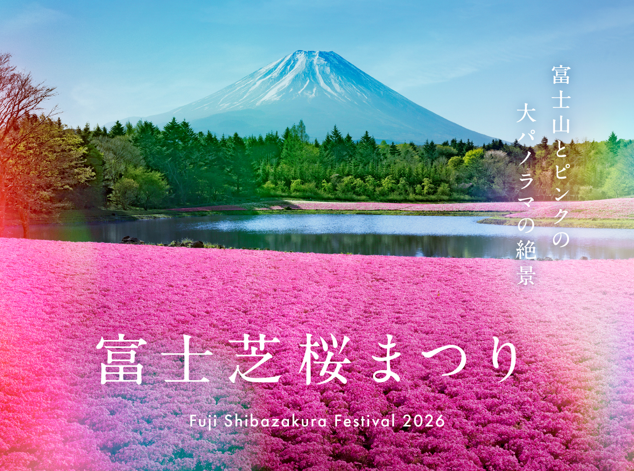 富士芝桜まつり
