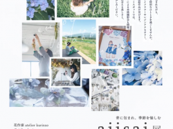[ ajisai展 ] アメリカヤ